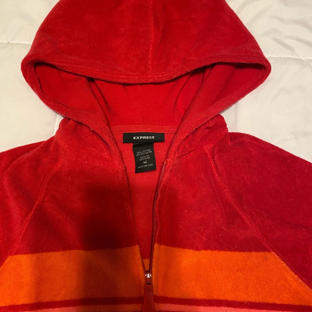 Express vintage sweater